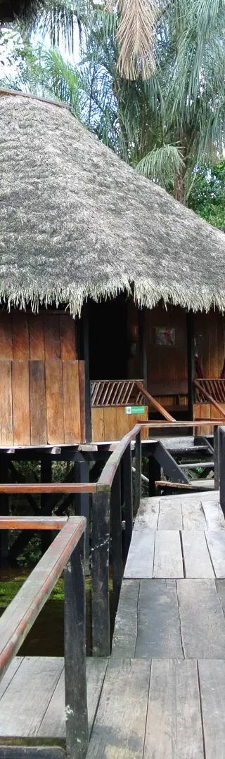 Samona Lodge - Guyabeno